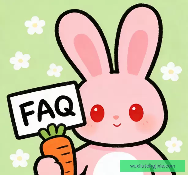常见问题